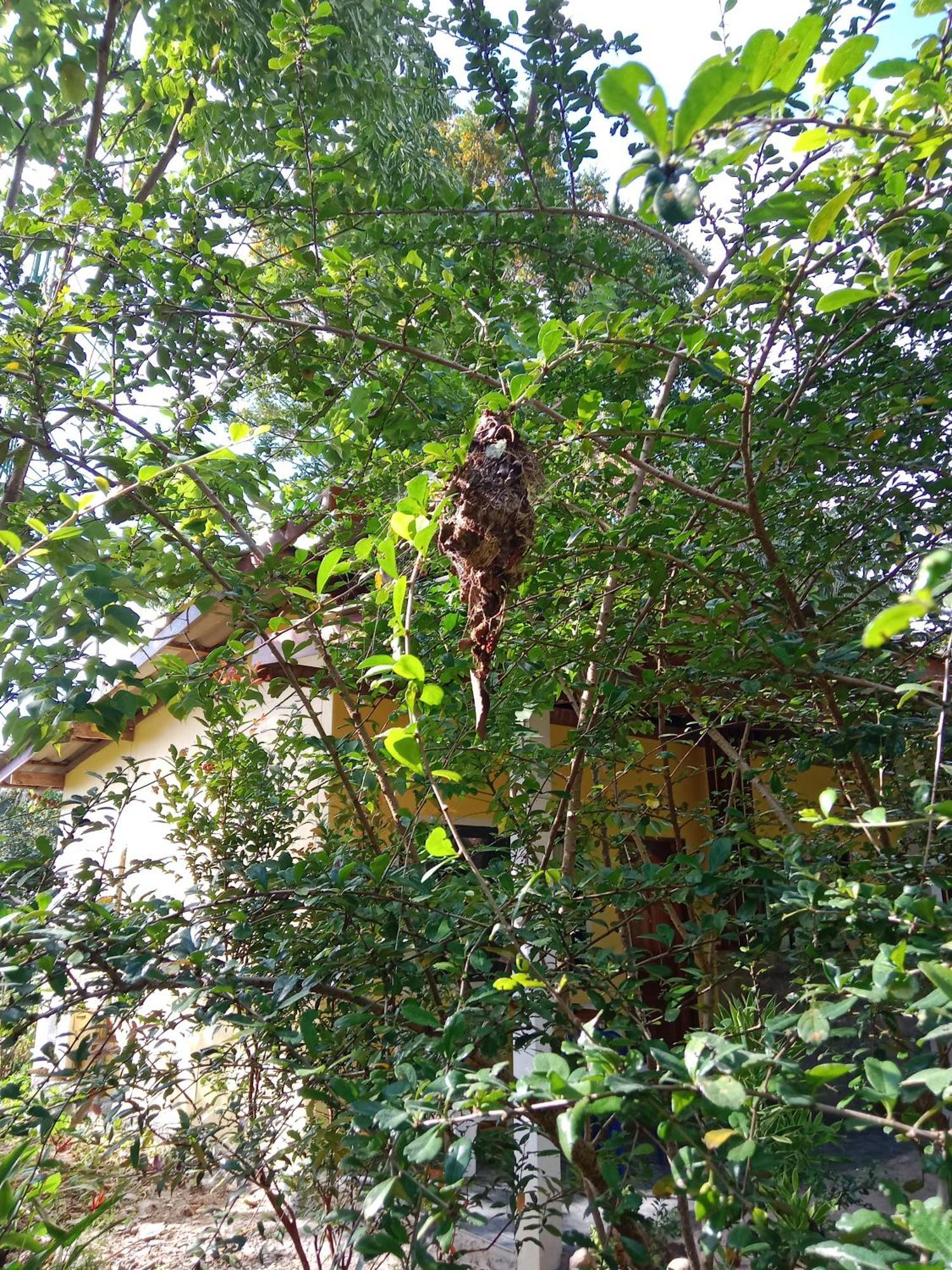 ホテル Som Palmgarden Ko Lanta エクステリア 写真