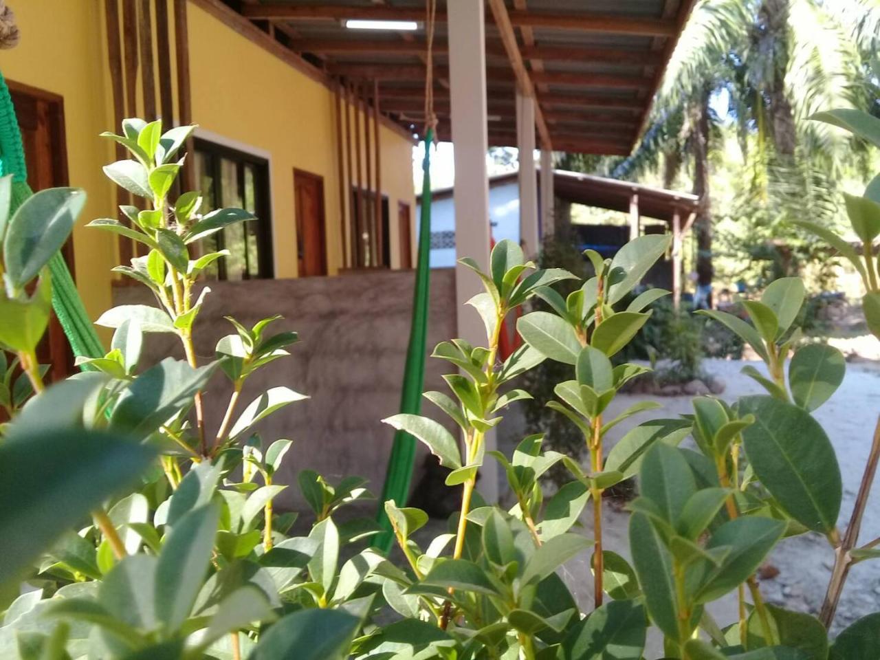 ホテル Som Palmgarden Ko Lanta エクステリア 写真