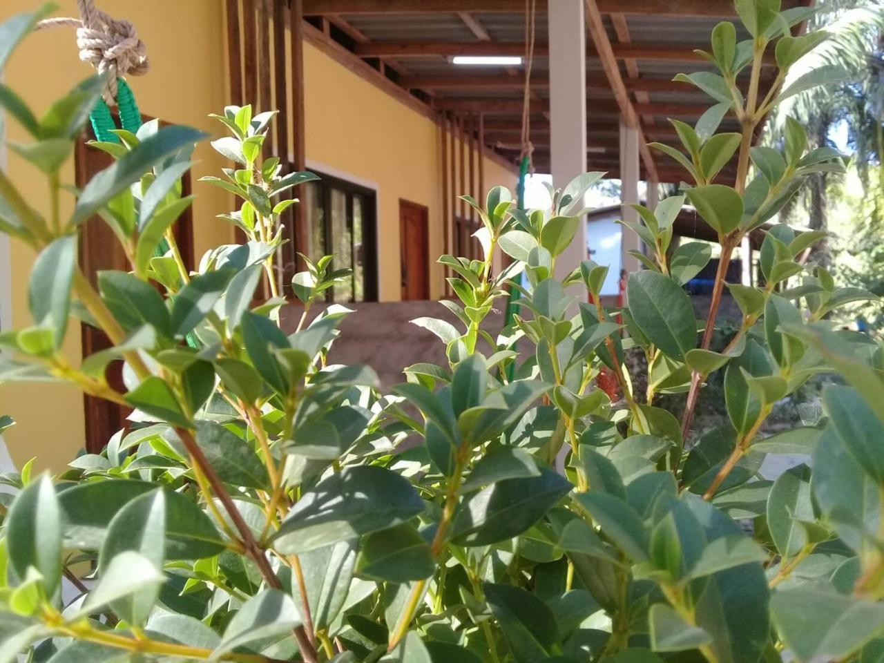 ホテル Som Palmgarden Ko Lanta エクステリア 写真